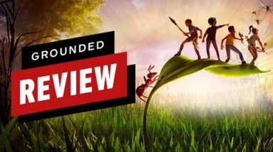 Grounded Review
