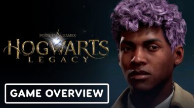Hogwarts Legacy - Character Creator Gameplay Overview