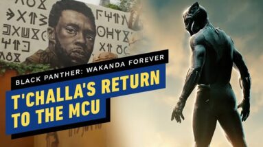 Why Marvel Studios Should Eventually Bring T'Challa Back As Black Panther