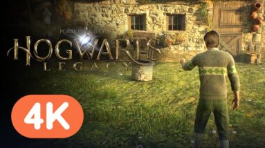 Hogwarts Legacy - Official Vivarium Beast Care Gameplay (4K)
